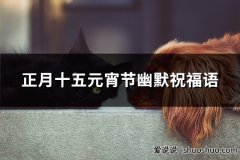 正月十五元宵节幽默祝福语(共36句)