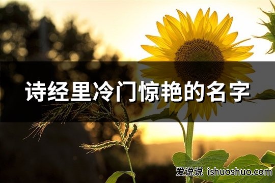 诗经里冷门惊艳的名字(共66个)