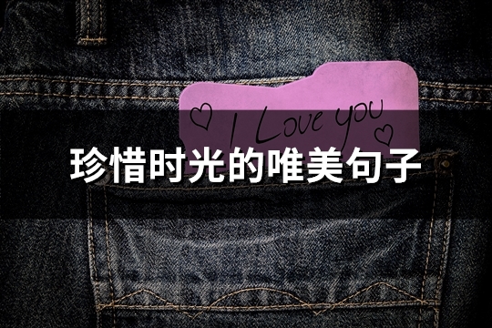 珍惜时光的唯美句子(共33句)