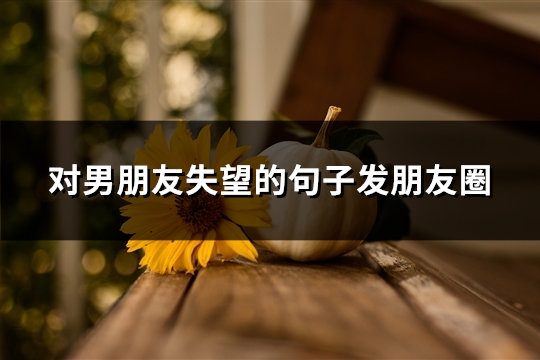 对男朋友失望的句子发朋友圈(精选38句) 对男朋友失望的句子发朋友圈(精选38句)