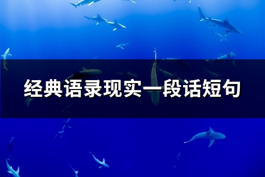 经典语录现实一段话短句(37句)