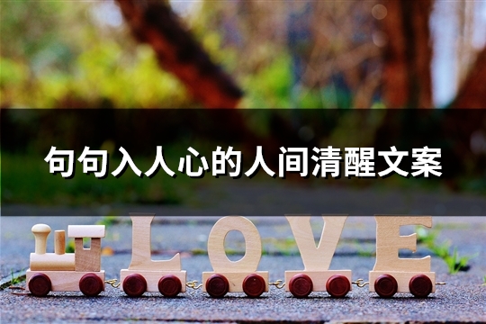 句句入人心的人间清醒文案(共30句)