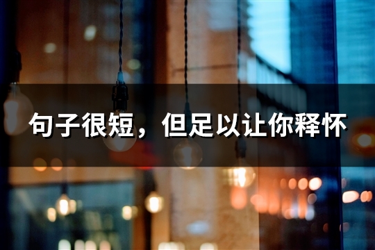 句子很短，但足以让你释怀(优选30句)