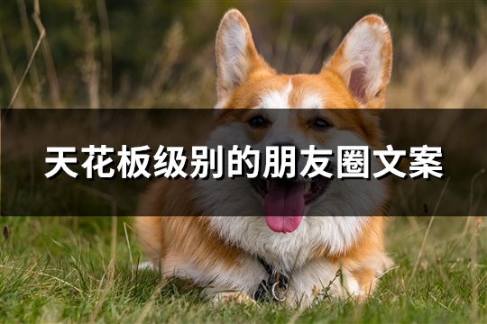天花板级别的朋友圈文案(推荐28句)