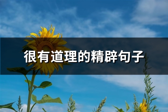 很有道理的精辟句子(32句)