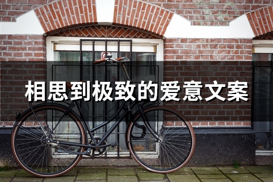 相思到极致的爱意文案(优选39句)