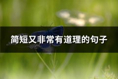 简短又非常有道理的句子(优选31句)