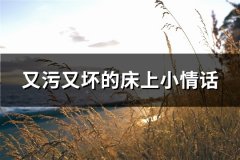 又污又坏的床上小情话(共37句)