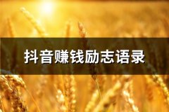 抖音赚钱励志语录(精选37句)