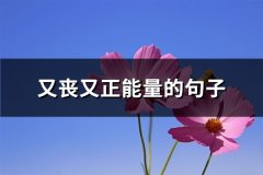 又丧又正能量的句子(共32句)