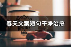 春天文案短句干净治愈(31句)