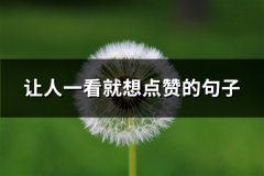 让人一看就想点赞的句子(共38句)