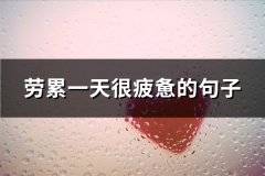 劳累一天很疲惫的句子(共31句)