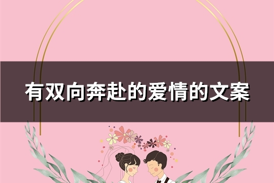 双向奔赴的爱情的文案(推荐29句)