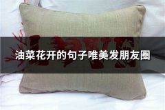 油菜花开的句子唯美发朋友圈(共37句)
