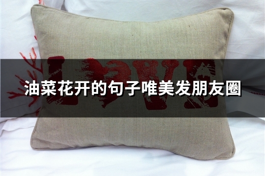 油菜花开的句子唯美发朋友圈(共37句)