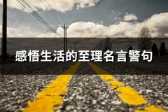 感悟生活的至理名言警句(精选30句)