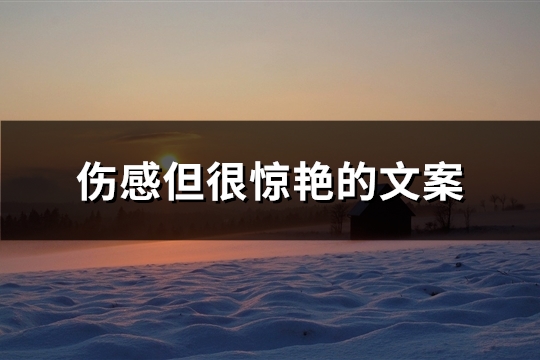 伤感但很惊艳的文案(优选35句)