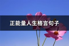 正能量人生格言句子(优选34句)