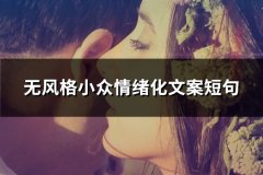 无风格小众情绪化文案短句(优选34句)