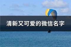 清新又可爱的微信名字(共137个)
