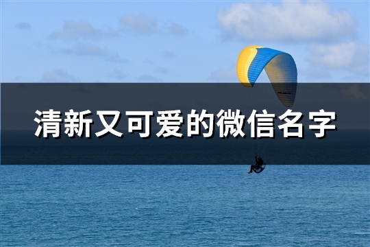 清新又可爱的微信名字(共137个)