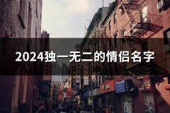 2024独一无二的情侣名字(128对)