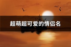 超萌超可爱的情侣名(70对)