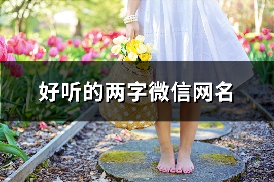 好听的两字微信网名(共109个)