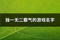 独一无二霸气的游戏名字(精选127个)