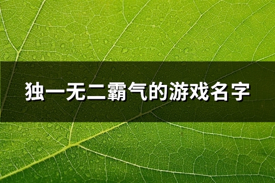 独一无二霸气的游戏名字(精选127个)