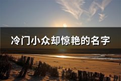 冷门小众却惊艳的名字(共134个)