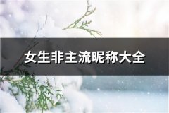 女生非主流昵称大全(精选130个)