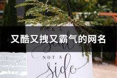 又酷又拽又霸气的网名(精选119个)