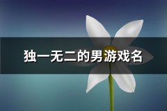 独一无二的男游戏名(精选117个)