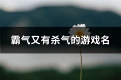 霸气又有杀气的游戏名(110个)