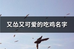 又怂又可爱的吃鸡名字(精选130个)