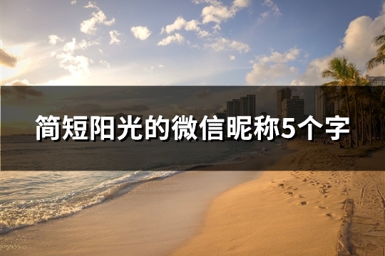 简短阳光的微信昵称5个字(共58个)