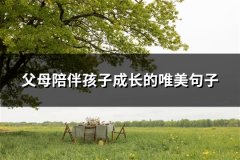 父母陪伴孩子成长的唯美句子