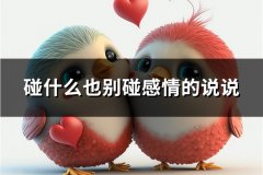 碰什么也别碰感情的说说