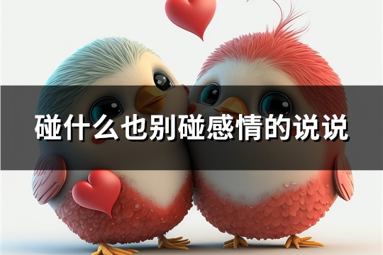 碰什么也别碰感情的说说