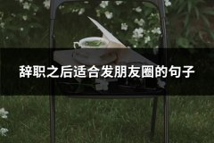 辞职之后适合发朋友圈的句子