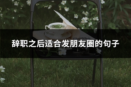 辞职之后适合发朋友圈的句子