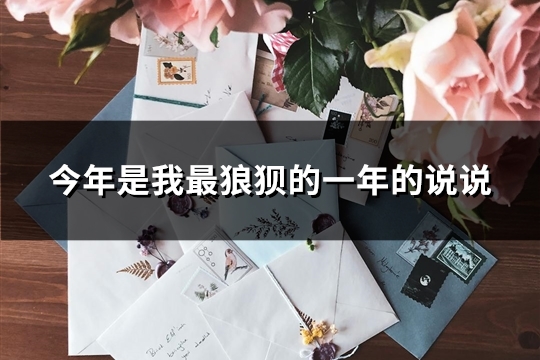 今年是我最狼狈的一年的说说