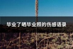毕业了晒毕业照的伤感语录