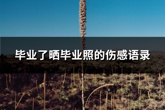 毕业了晒毕业照的伤感语录