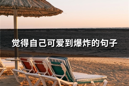 觉得自己可爱到爆炸的句子