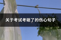 关于考试考砸了的伤心句子