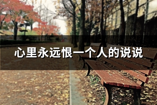 心里永远恨一个人的说说 心里永远恨一个人的说说