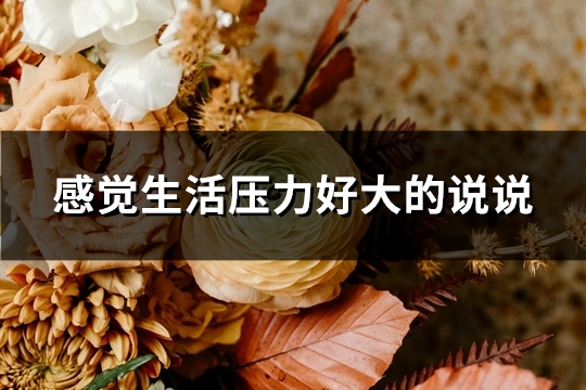 感觉生活压力好大的说说